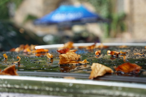 SuedThueringen AYA 2021 00086