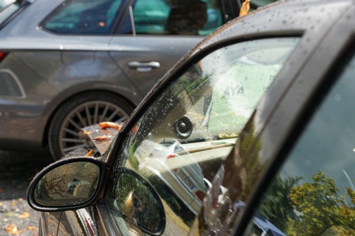 SuedThueringen AYA 2021 00088