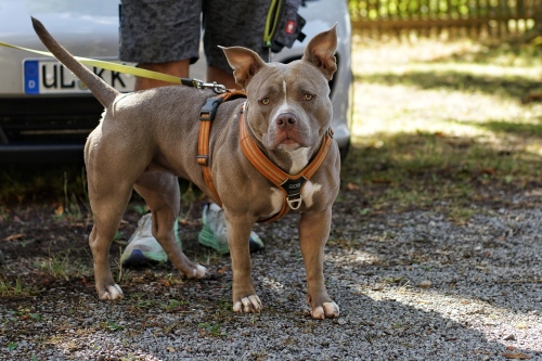 SuedThueringen AYA 2.0 2022 00008