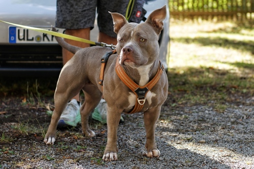 SuedThueringen AYA 2.0 2022 00009