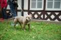 4 Sued Thueringen AYA 2024 00122