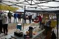 4 Sued Thueringen AYA 2024 00155