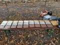 4 Sued Thueringen AYA 2024 00336
