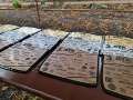 4 Sued Thueringen AYA 2024 00337
