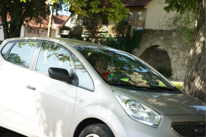 SuedThueringen AYA 2023 00077