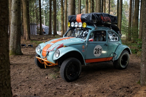 Tief im Wald 2023 00056
