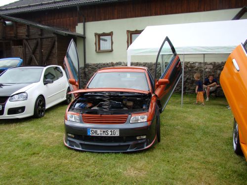 Tuning Treffen Toschis 2009 011